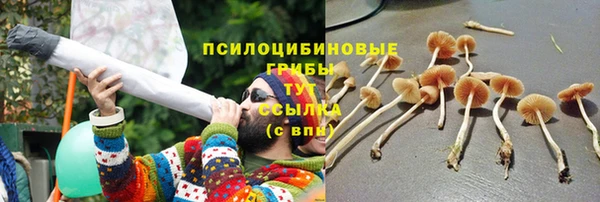 прущий лед Медвежьегорск